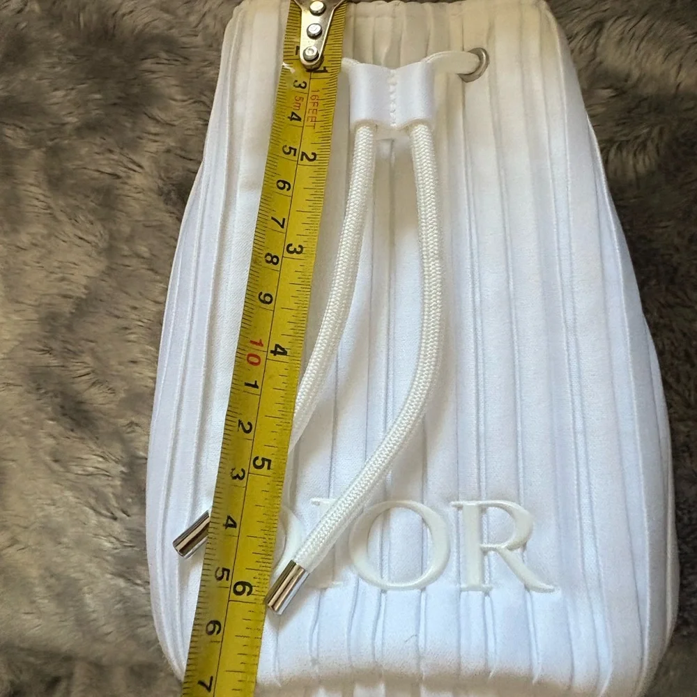Dior Pouch